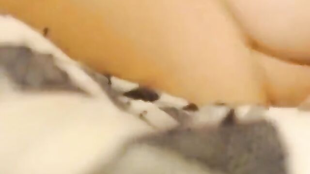 Chubby mommy shows her son her wet pussy - 3 image