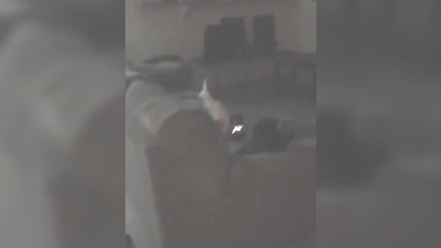 Real brother caught his sister watching porn and fingering homemade - 1 image